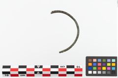 Foto von Bronzearmreif (NHMW-PRAE-023740)